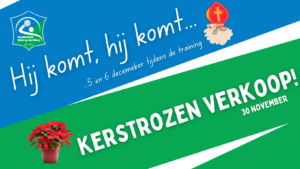 Kerstrozenverkoop 2024